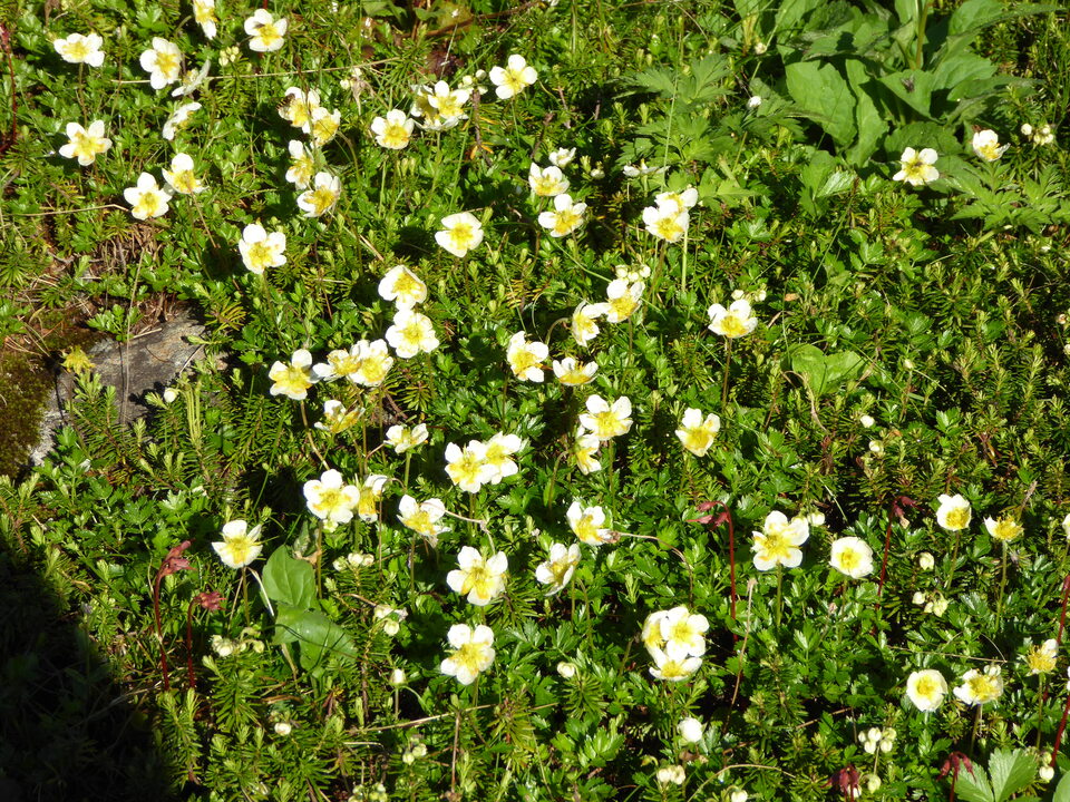 P1040610_mid.jpg