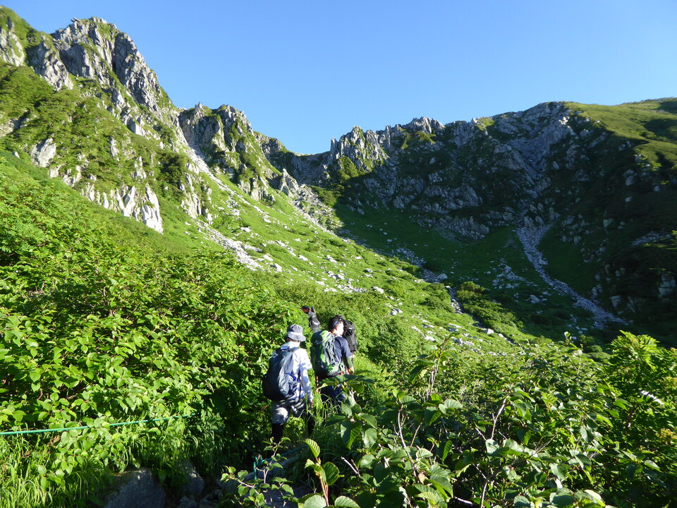 P1040617_mid.jpg