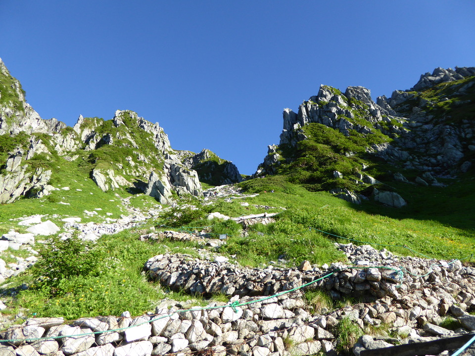 P1040659_mid.jpg