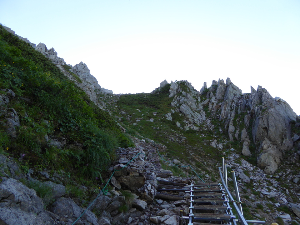 P1040689_mid.jpg