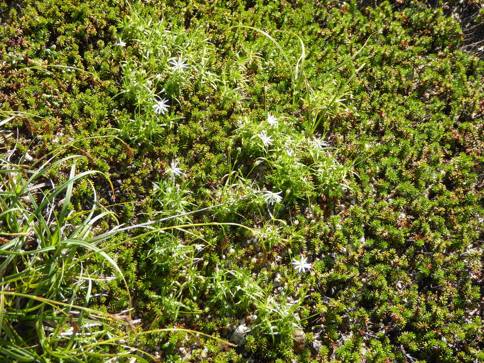 P1040718_mid.jpg