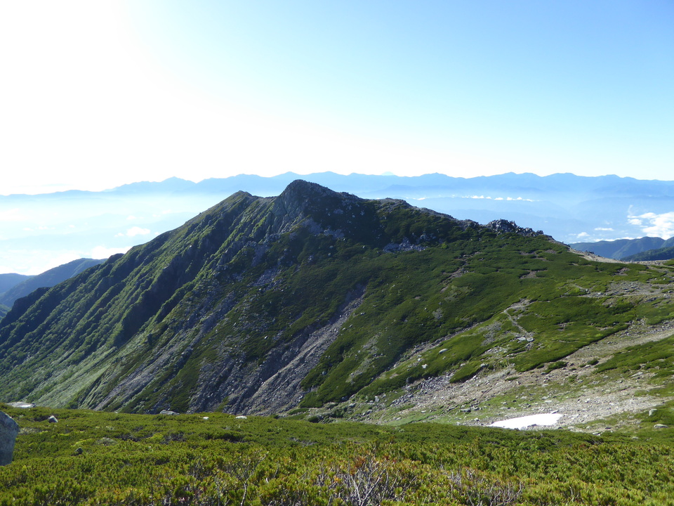 P1040723_mid.jpg