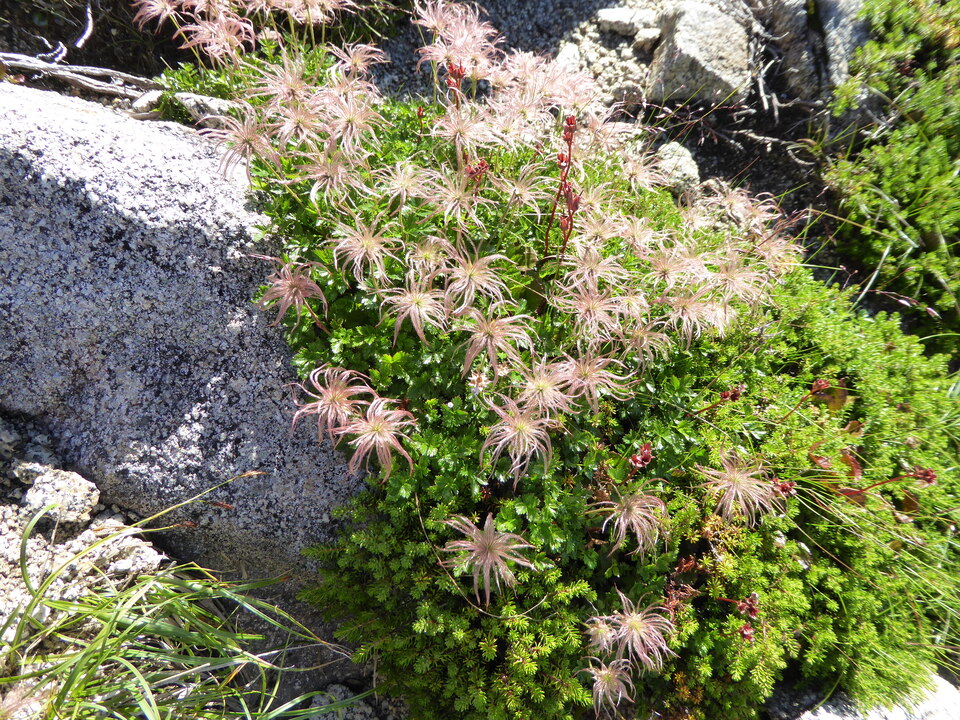 P1040810_mid.jpg
