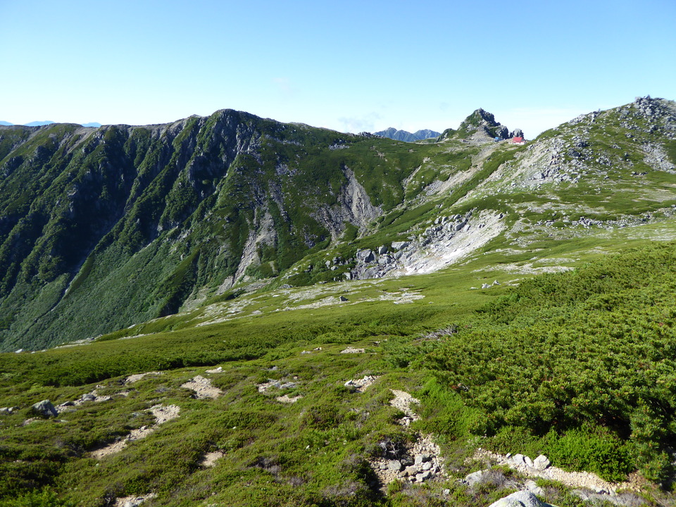 P1040822_mid.jpg