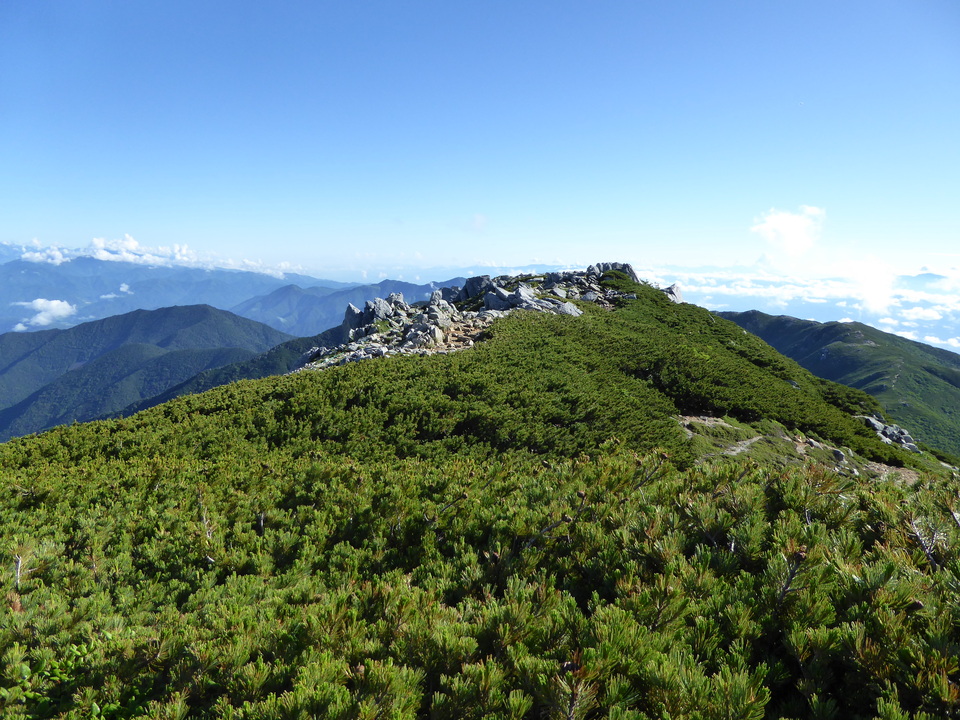 P1040830_mid.jpg