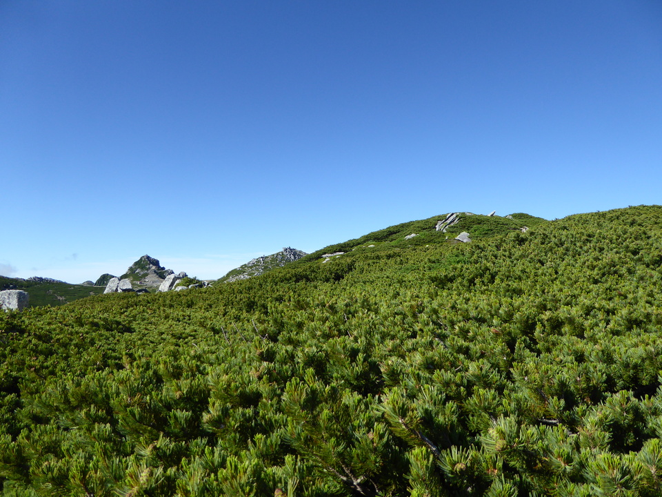 P1040832_mid.jpg