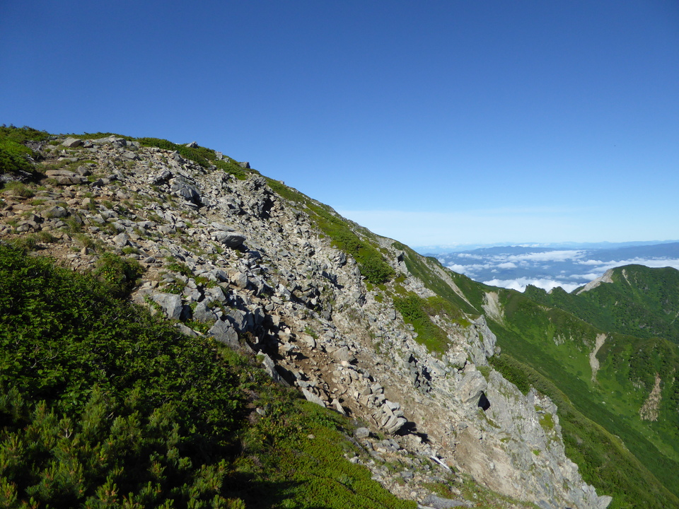 P1040833_mid.jpg