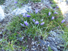 P1040838_thumb.png