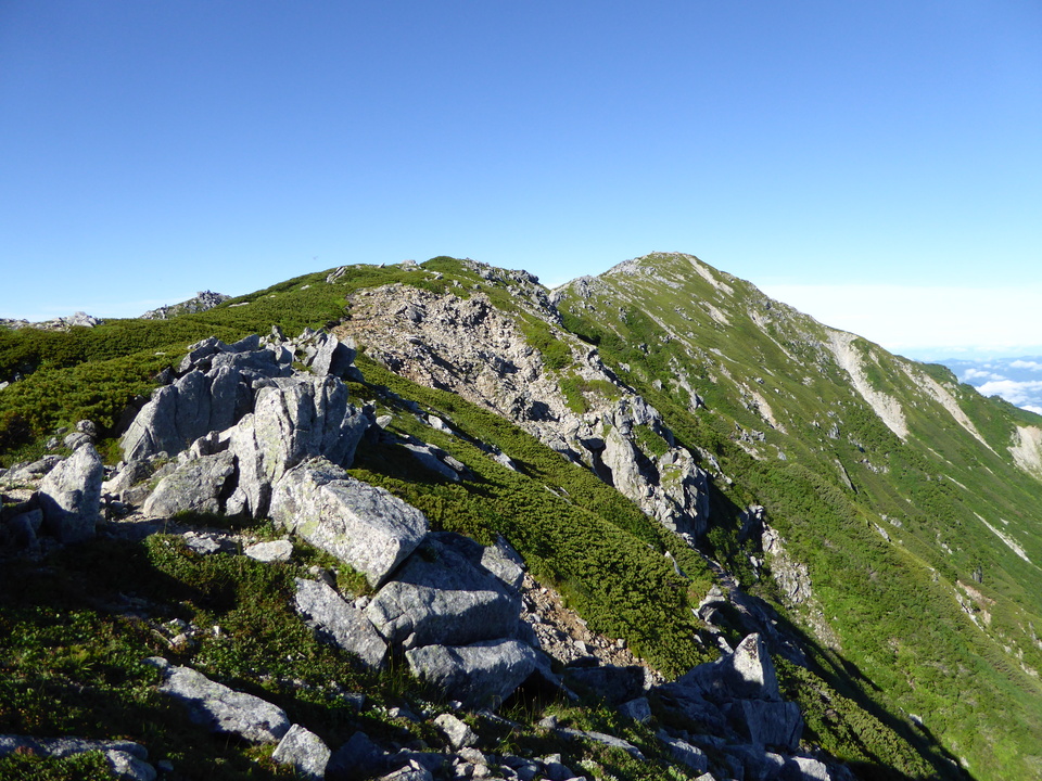 P1040840_mid.jpg
