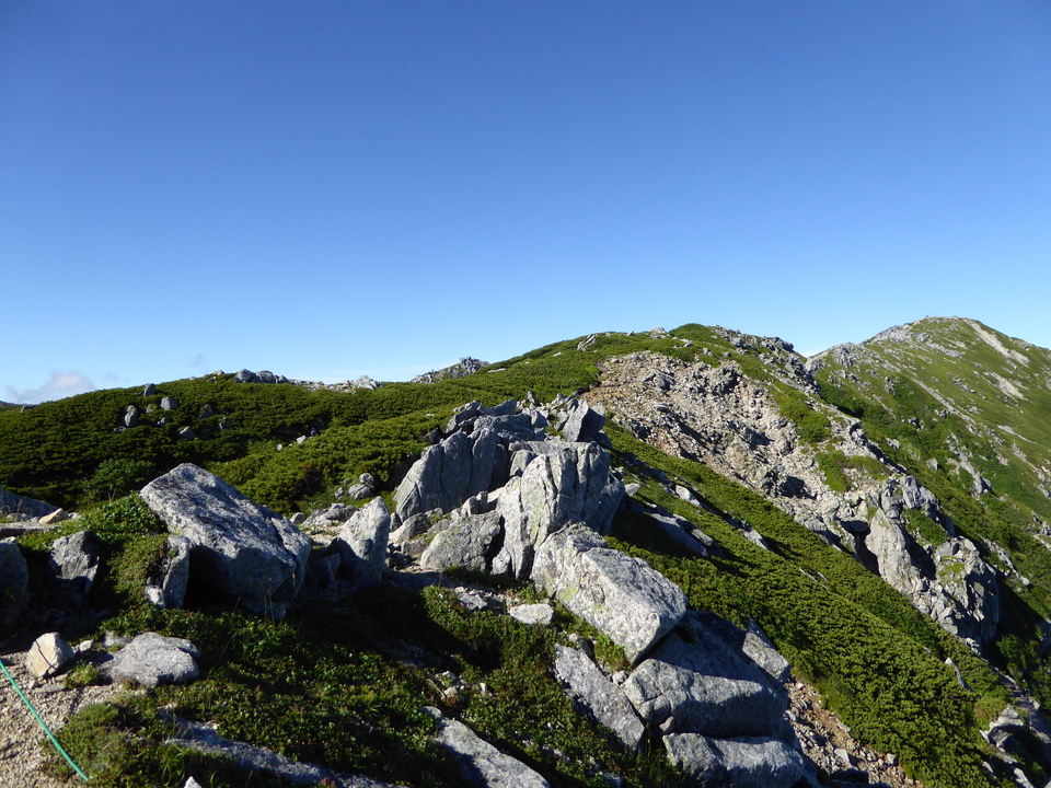 P1040841_mid.jpg