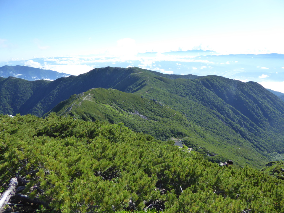 P1040842_mid.jpg
