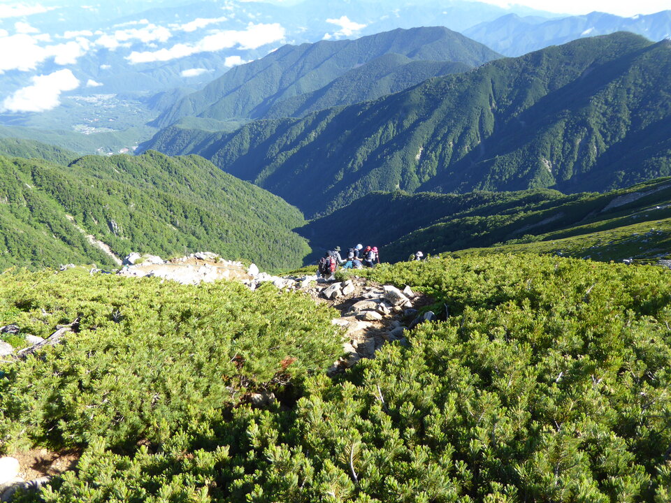 P1040845_mid.jpg