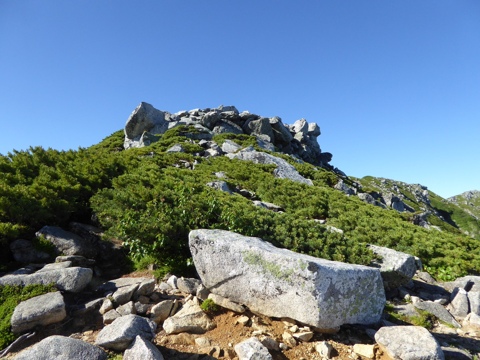 P1040846_mid.jpg