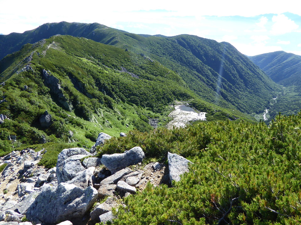 P1040851_mid.jpg