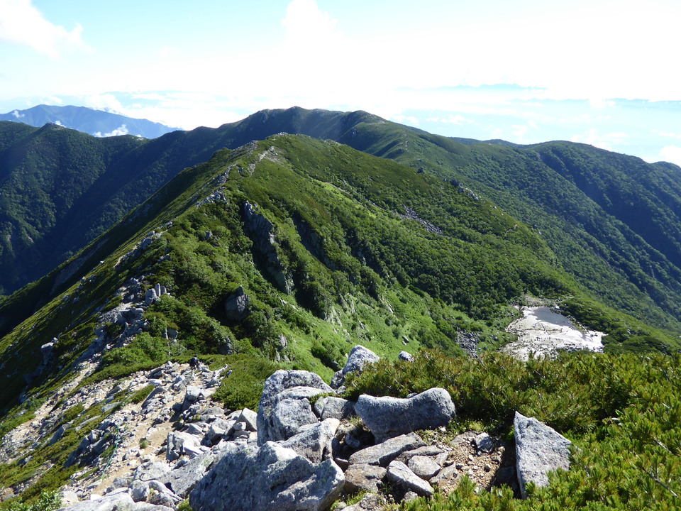 P1040852_mid.jpg