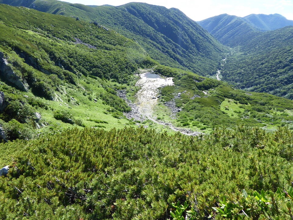 P1040854_mid.jpg