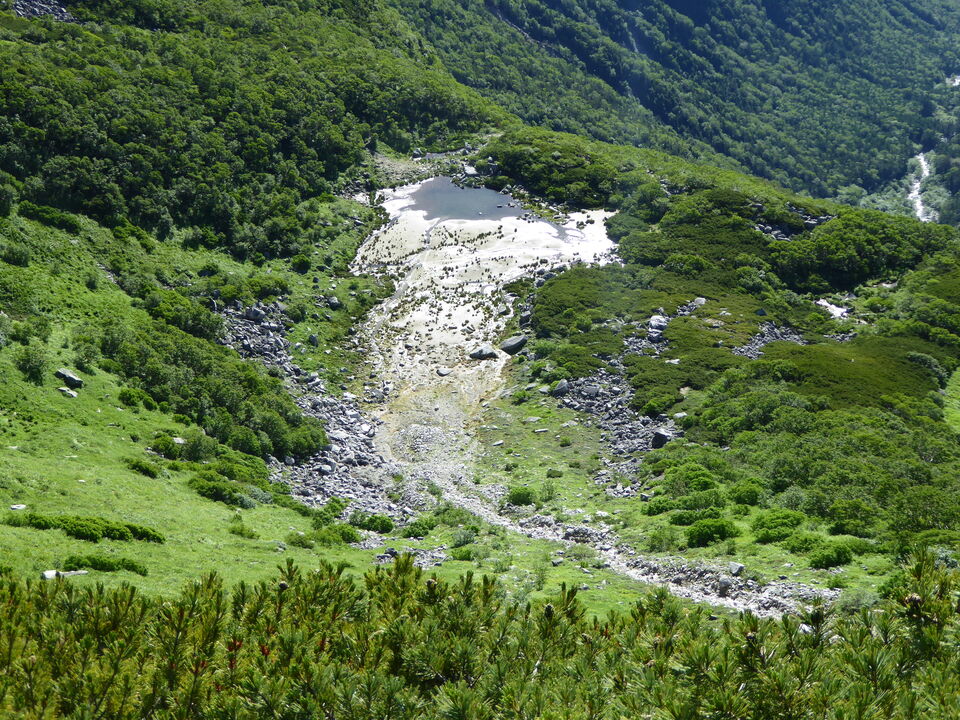 P1040855_mid.jpg