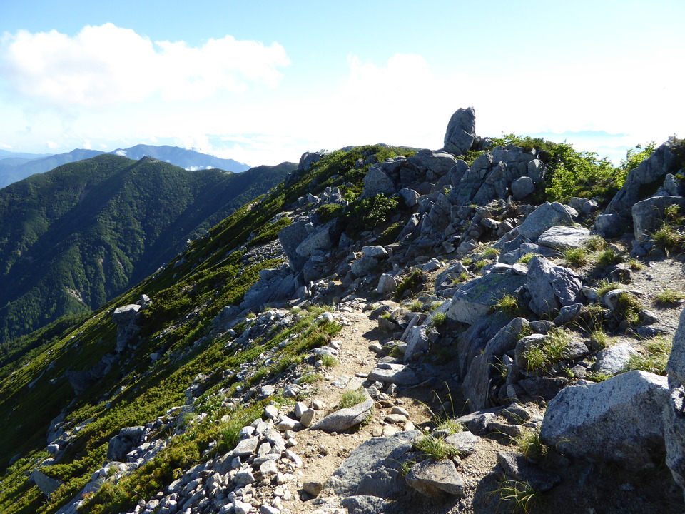 P1040858_mid.jpg