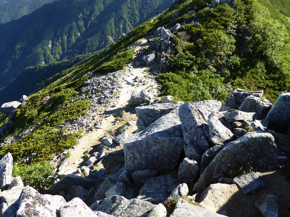 P1040860_mid.jpg