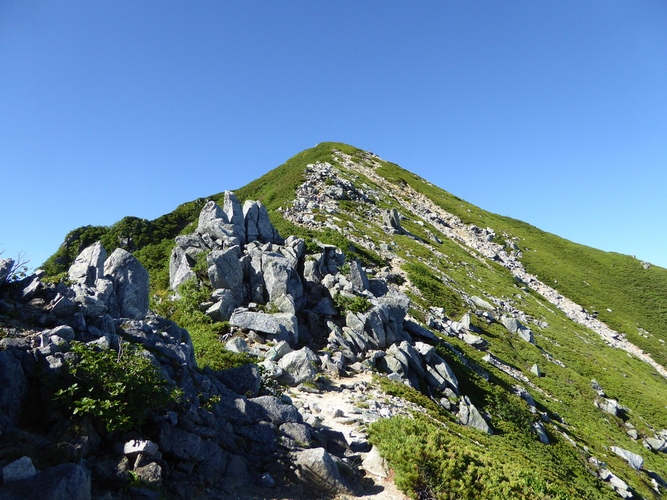 P1040864_mid.jpg