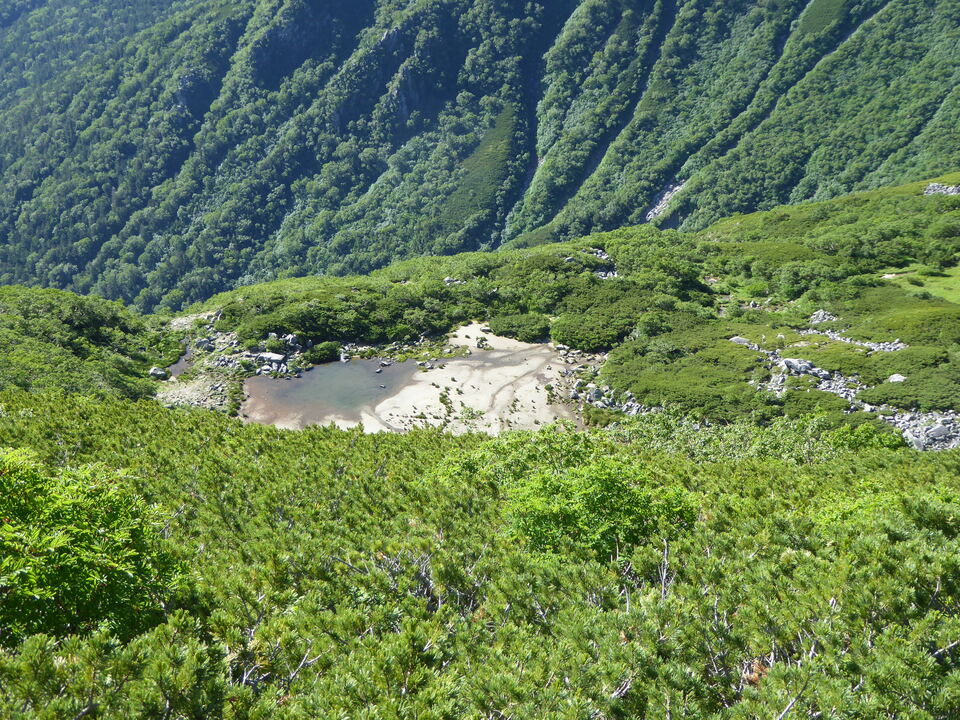 P1040865_mid.jpg