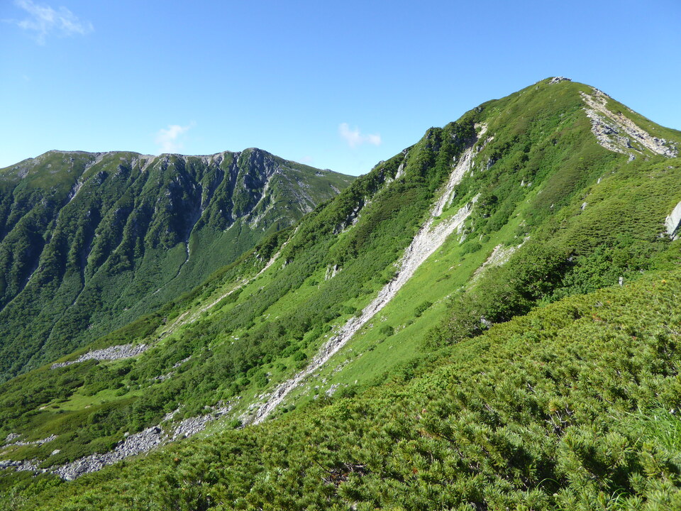 P1040867_mid.jpg