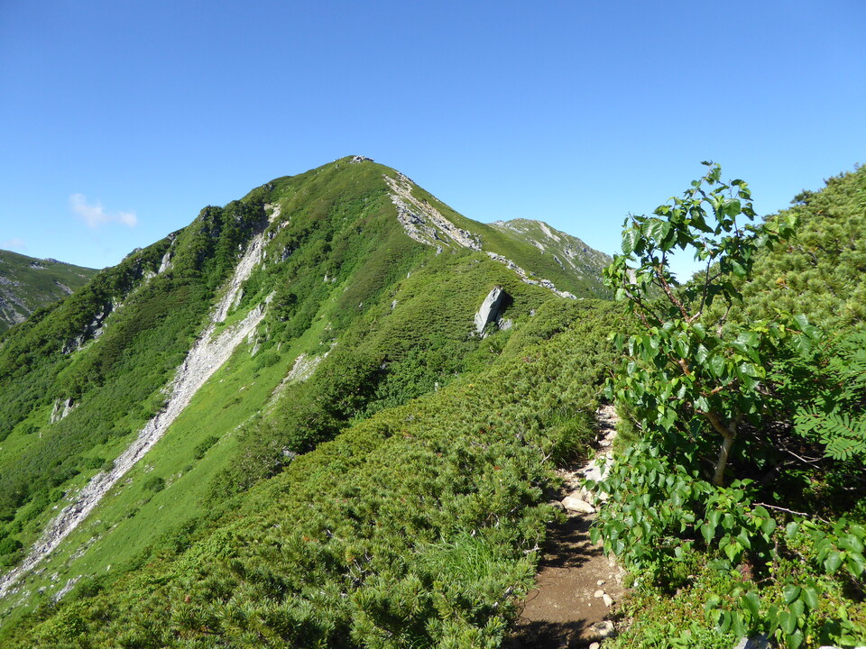 P1040868_mid.jpg