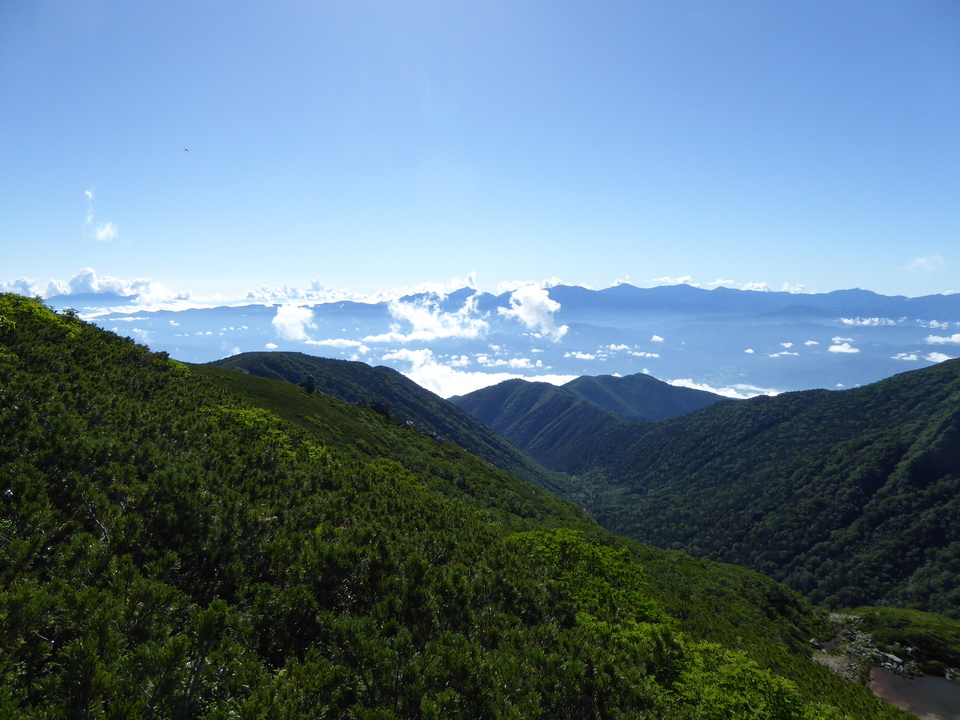 P1040870_mid.jpg