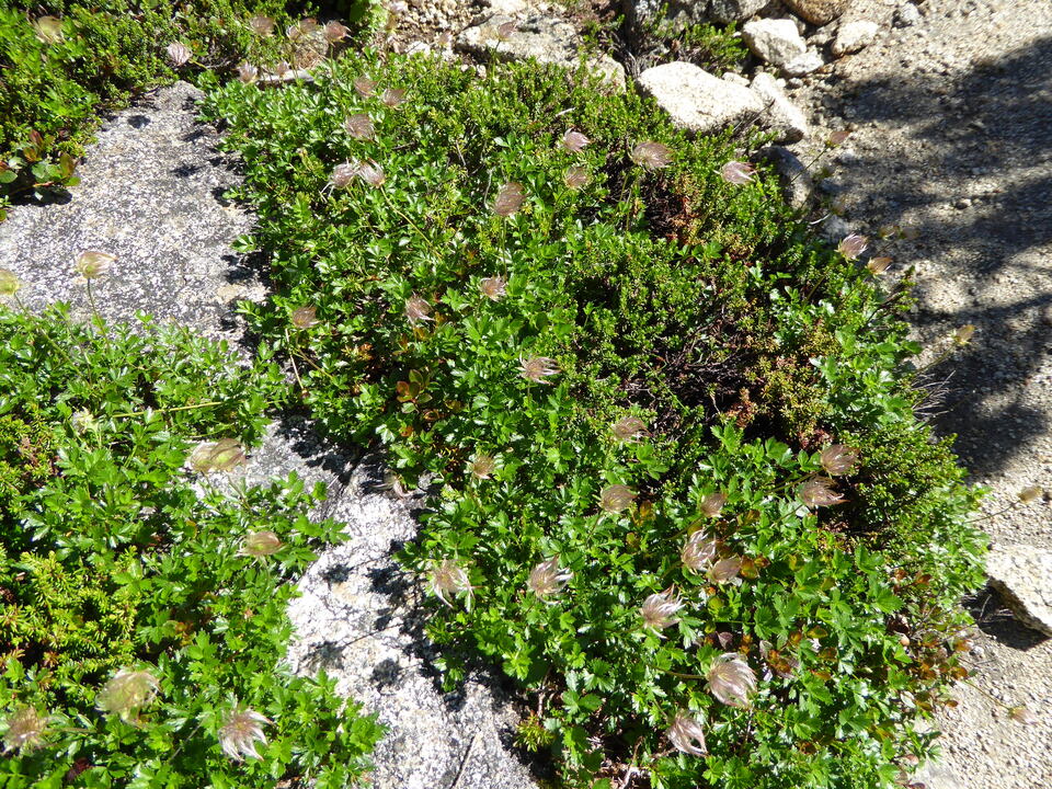 P1040871_mid.jpg