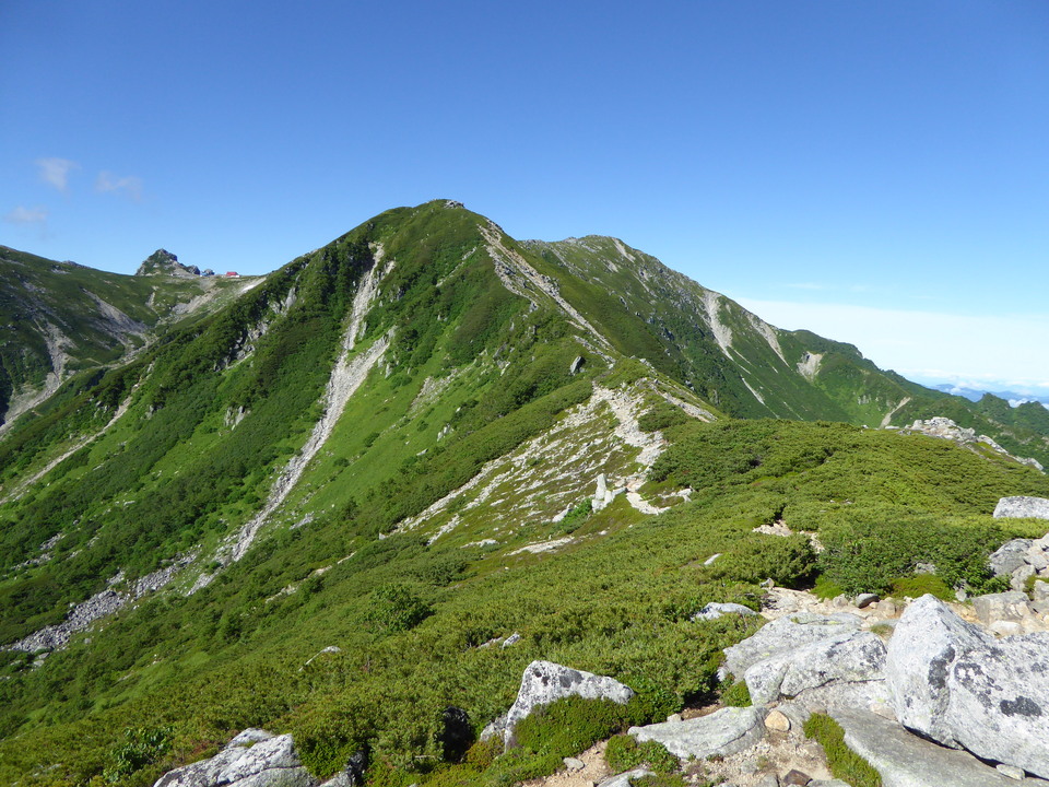 P1040876_mid.jpg