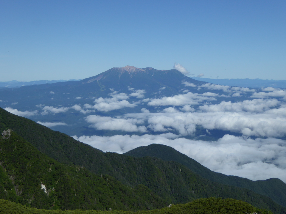 P1040877_mid.jpg