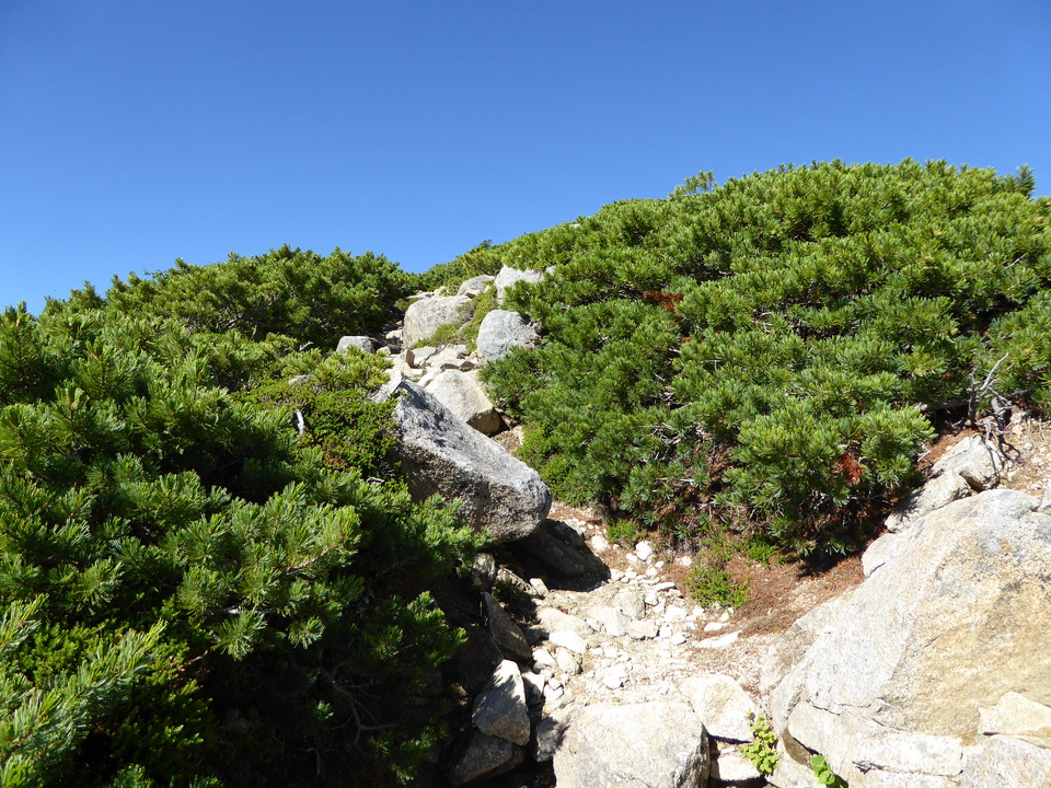 P1040886_mid.jpg