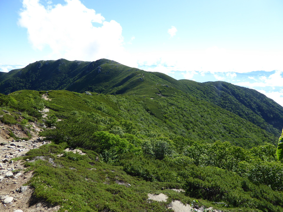 P1040891_mid.jpg