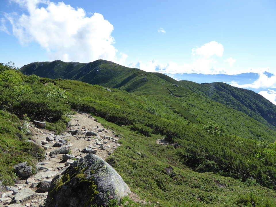 P1040893_mid.jpg