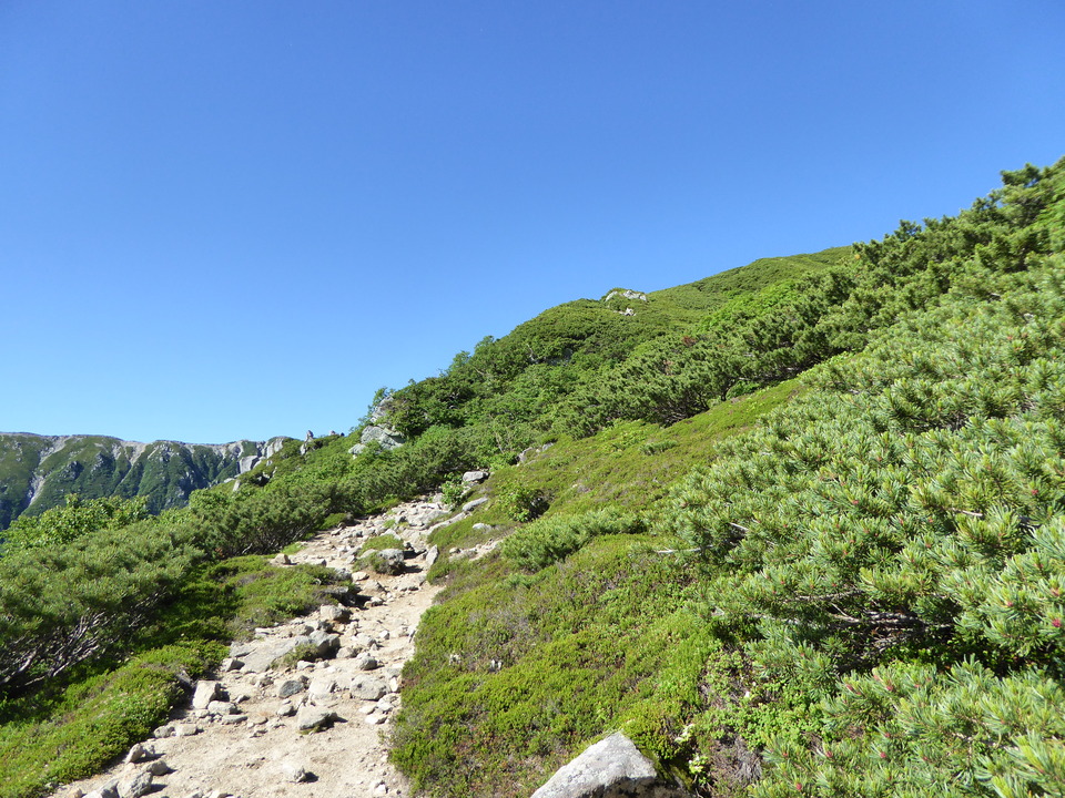 P1040895_mid.jpg