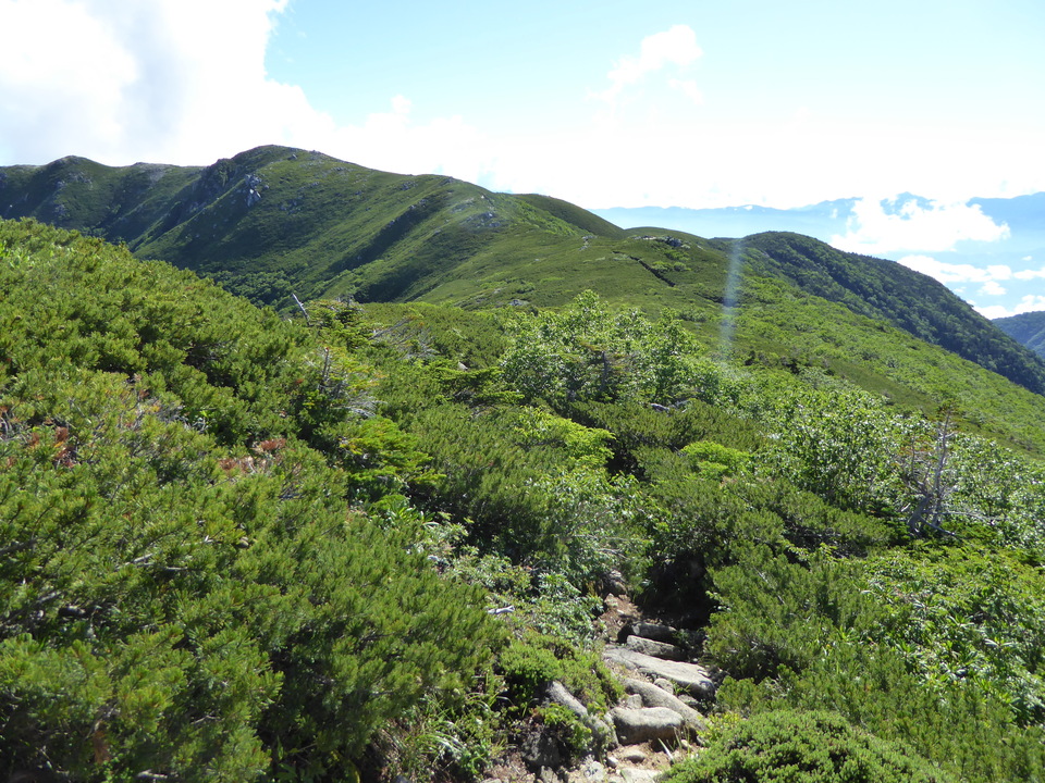 P1040896_mid.jpg