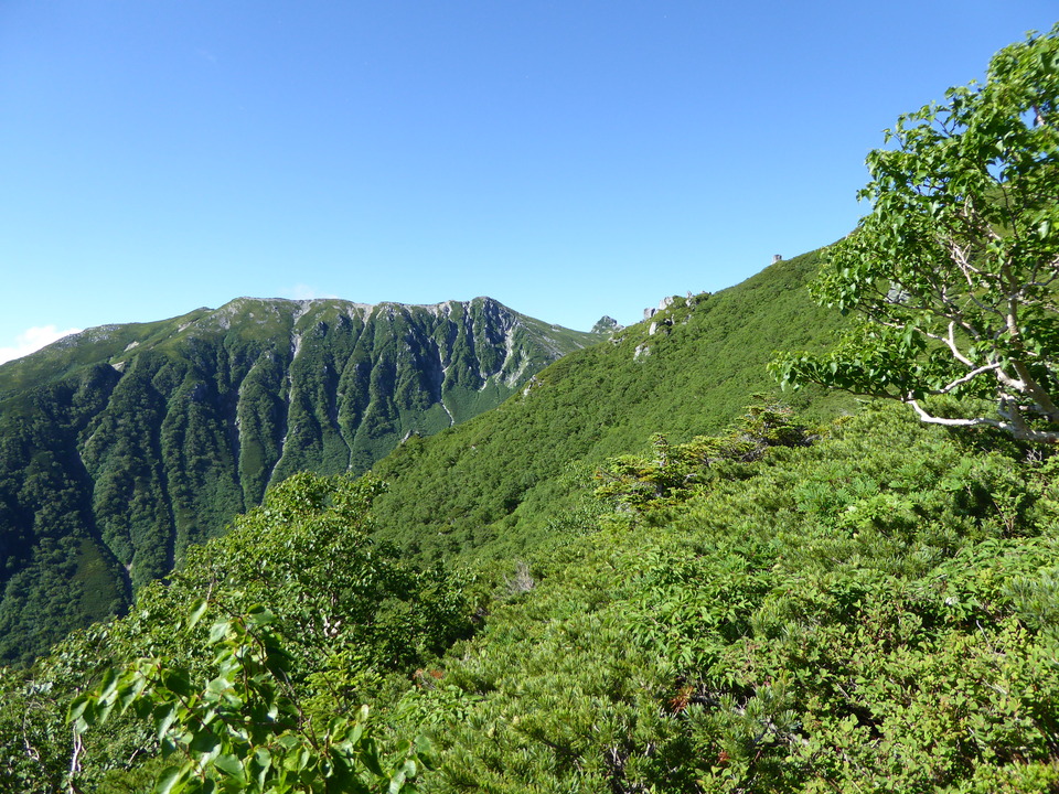 P1040898_mid.jpg