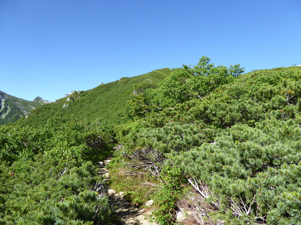 P1040902_mid.jpg