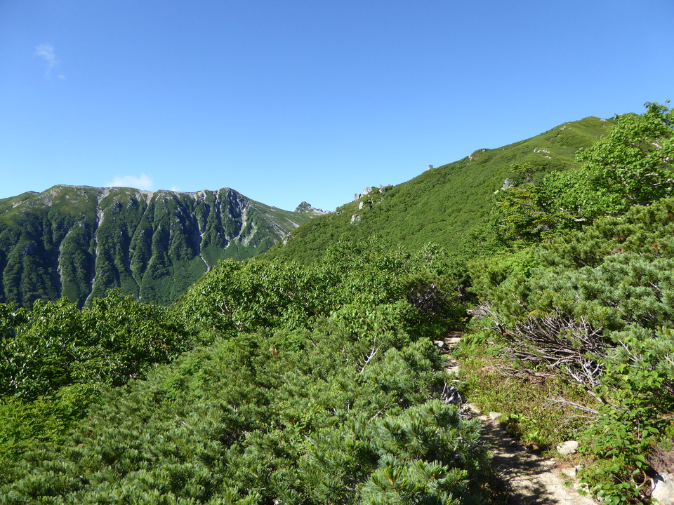 P1040903_mid.jpg