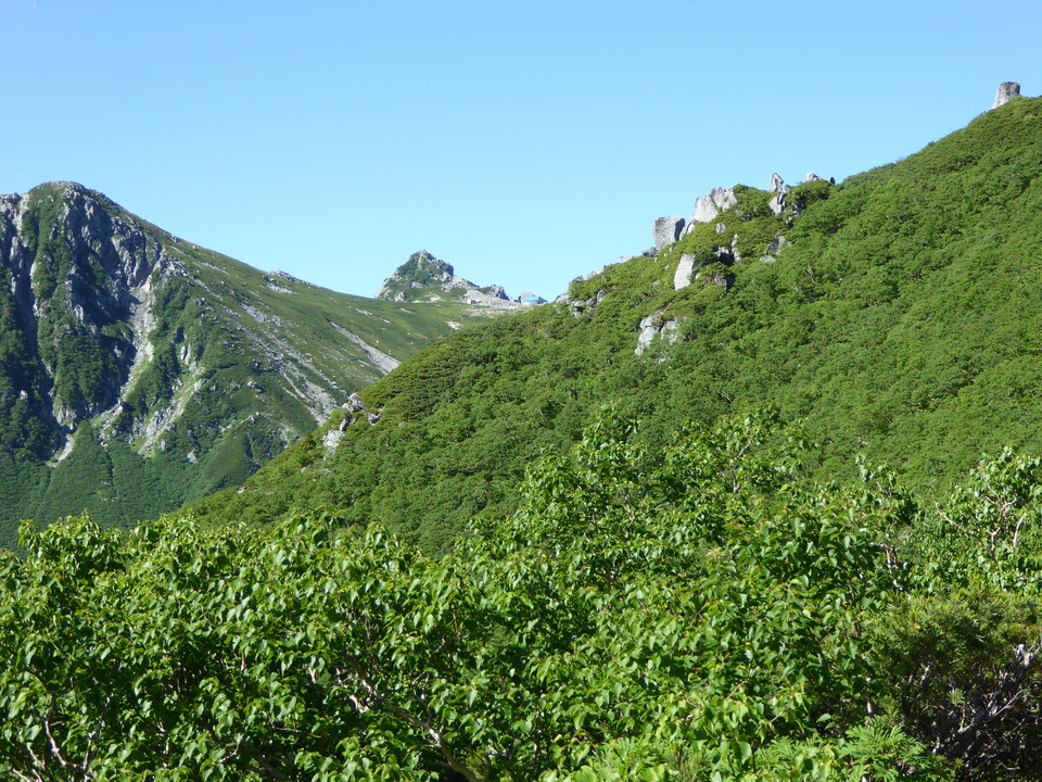 P1040904_mid.jpg