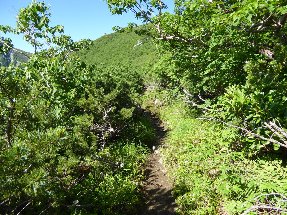 P1040905_mid.jpg