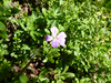 P1040907_thumb.png