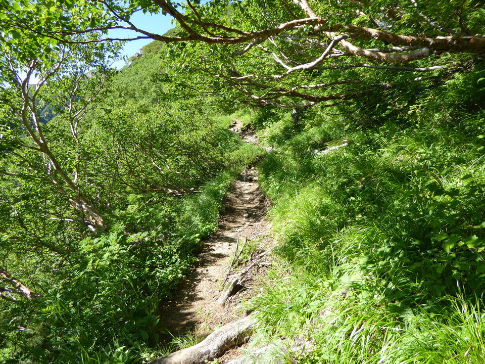 P1040913_mid.jpg