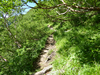 P1040913_thumb.png