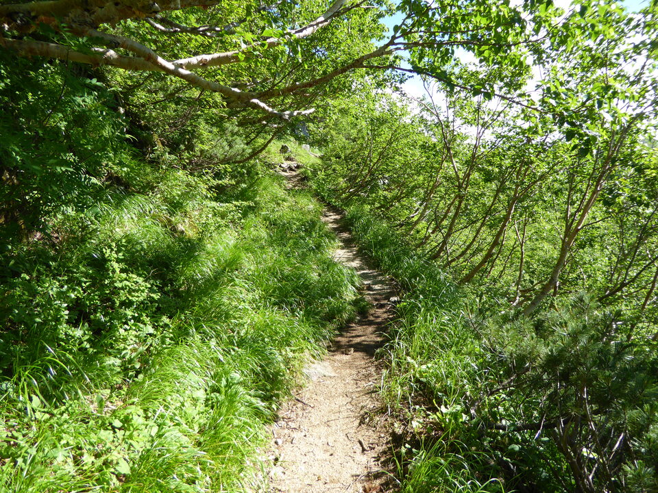 P1040914_mid.jpg