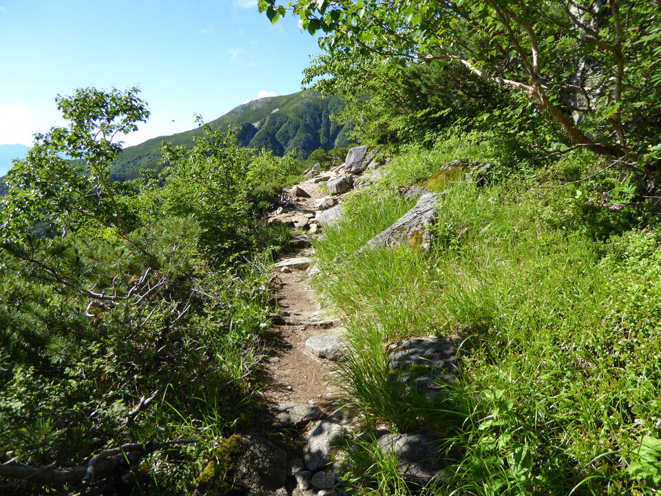 P1040919_mid.jpg