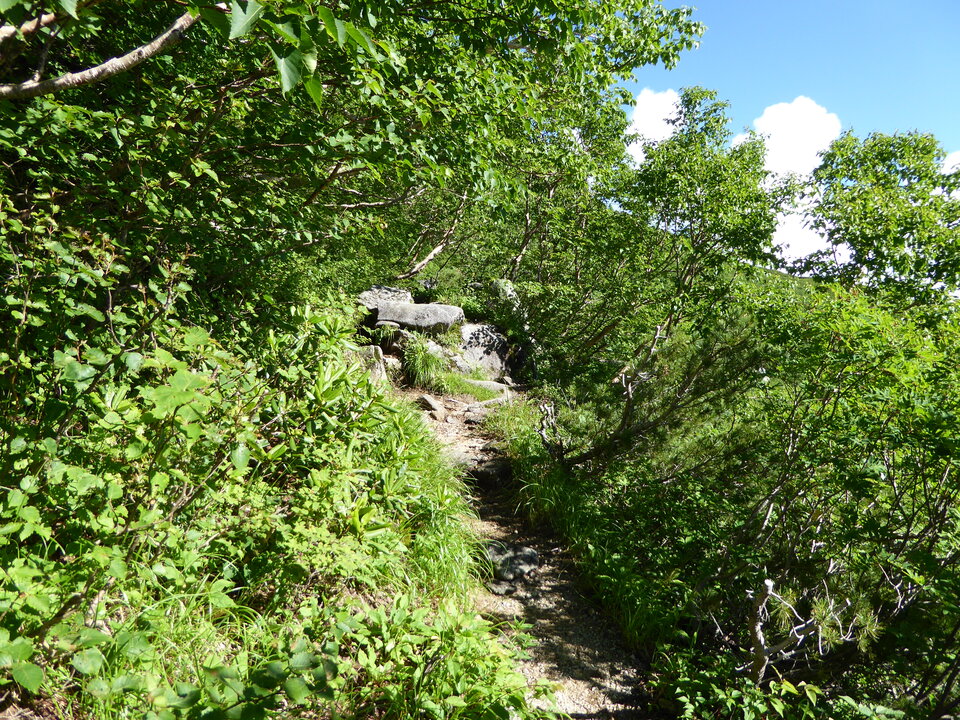 P1040920_mid.jpg