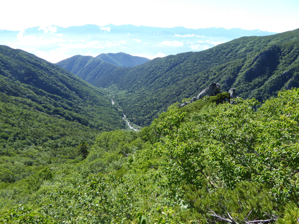 P1040921_mid.jpg