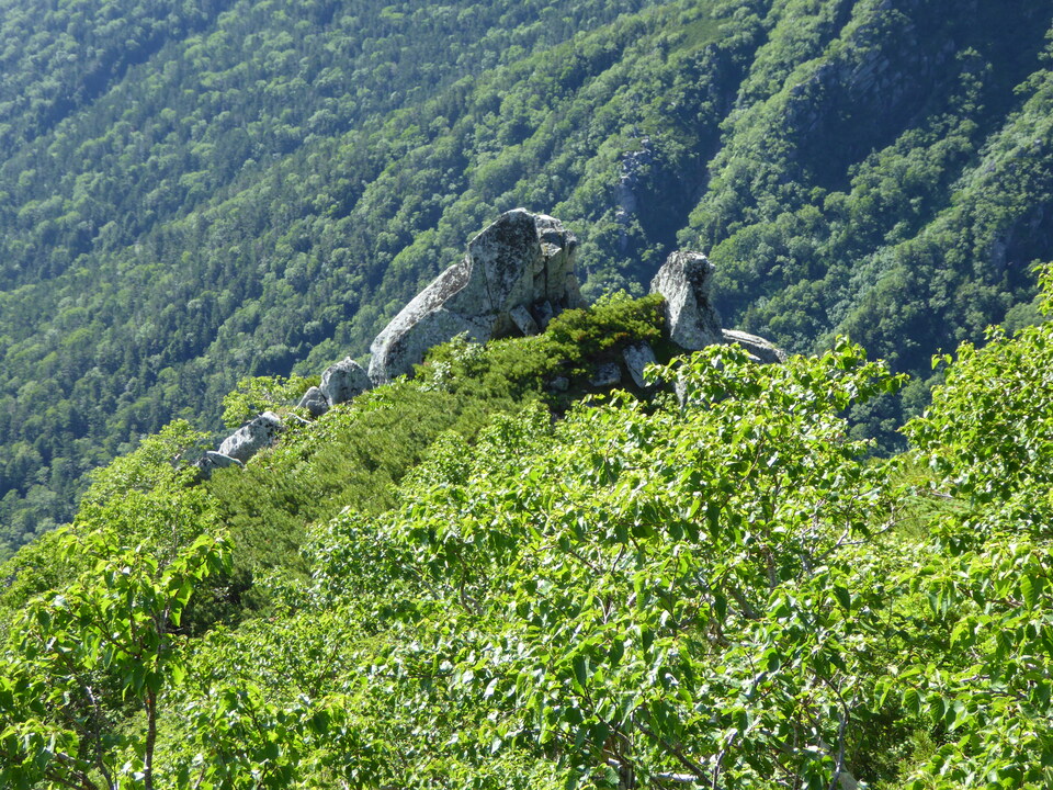 P1040922_mid.jpg