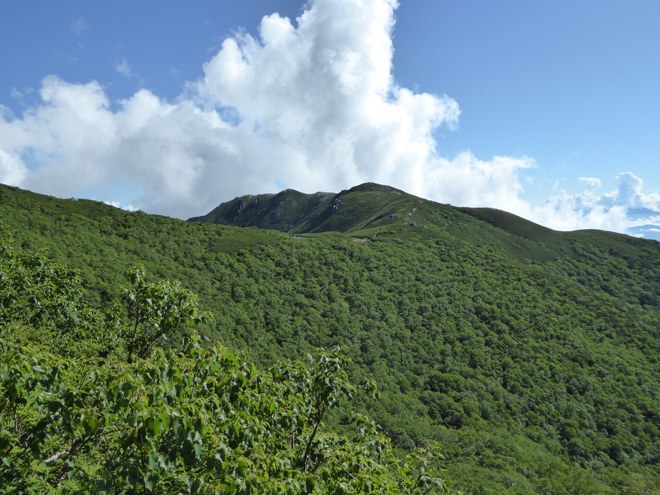P1040924_mid.jpg
